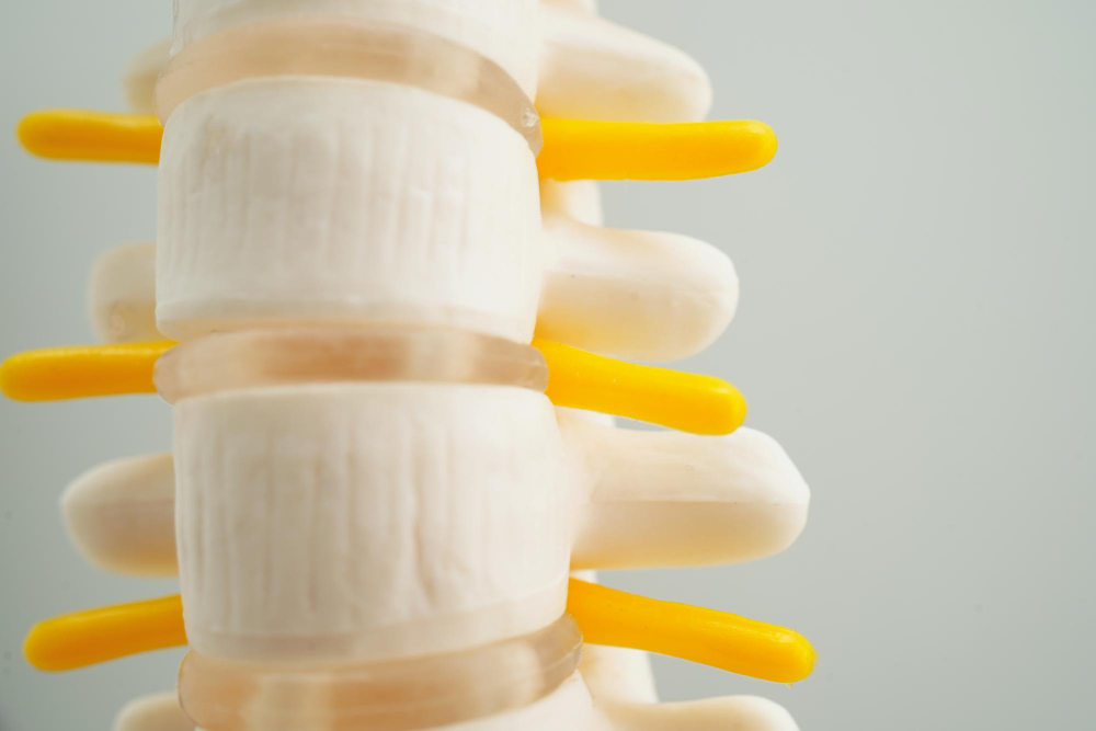 Degenerative Disc Disease  East Lansing, MI